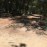 Review photo of Waterman Gap Trail Camp — Castle Rock State Park by Asher K., September 1, 2017