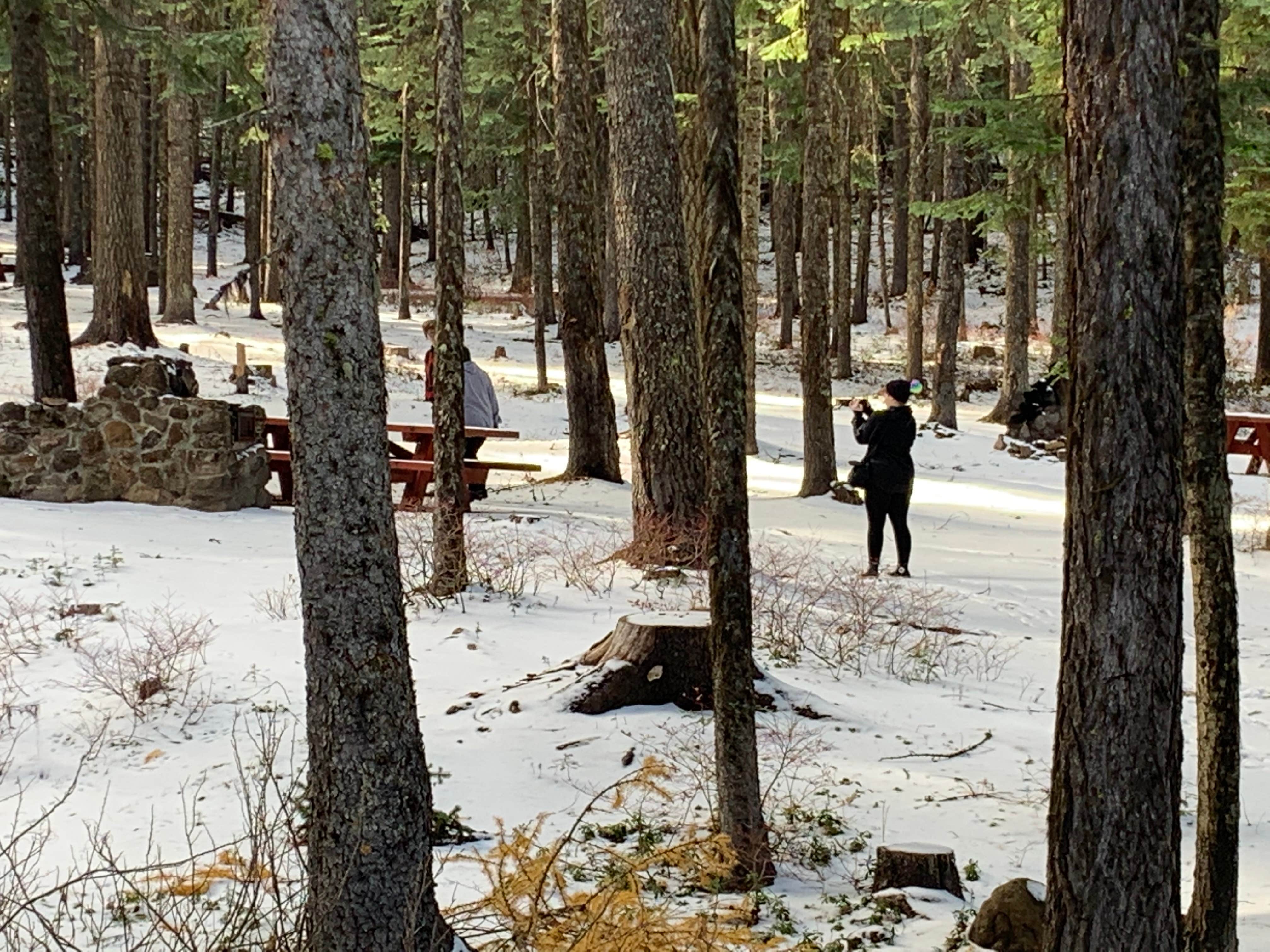 Camper-submitted photo at Big Springs Campground near Dixie, WA