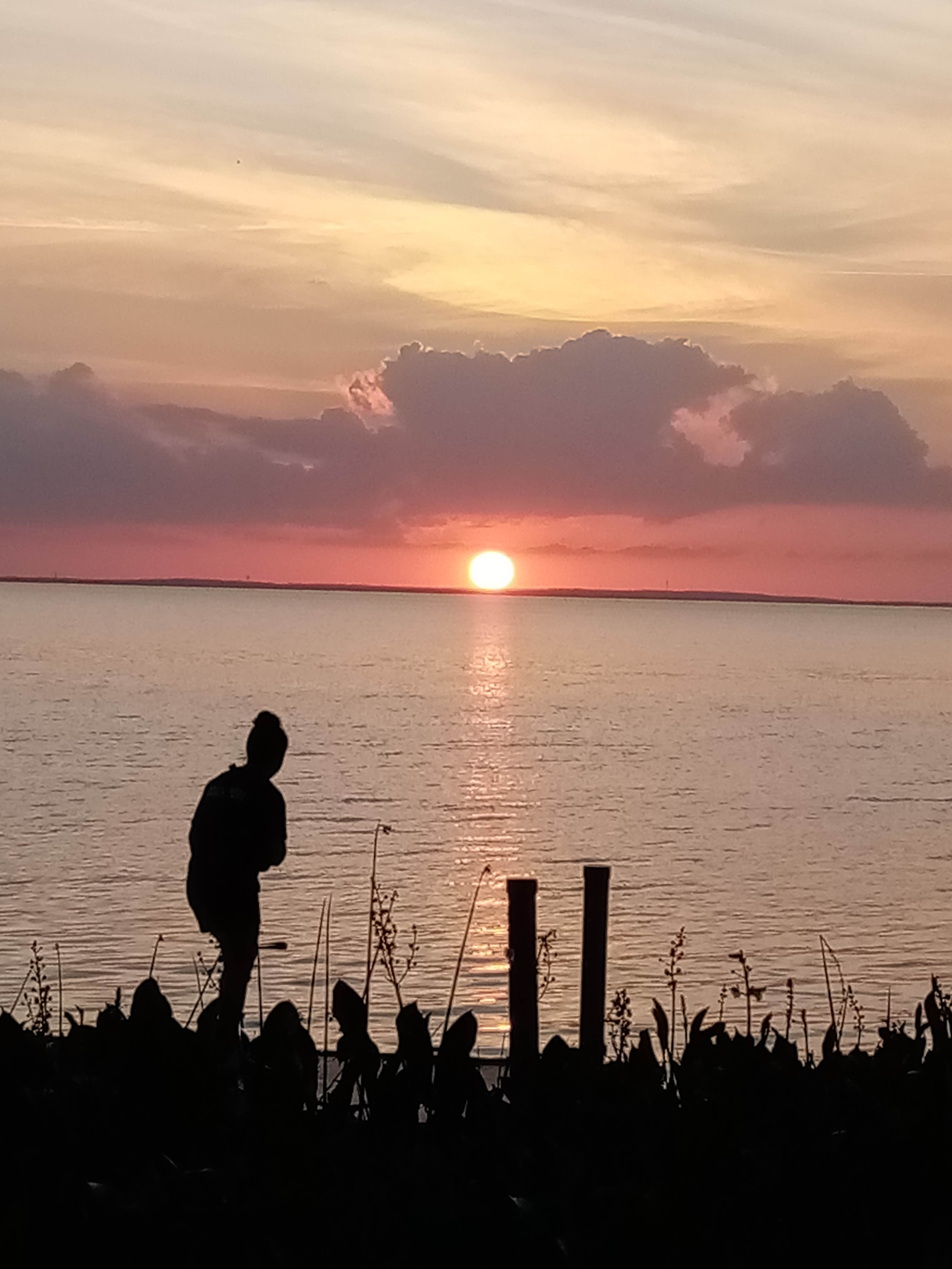 Camper-submitted photo at Magnolia Park Campground near Windermere, FL