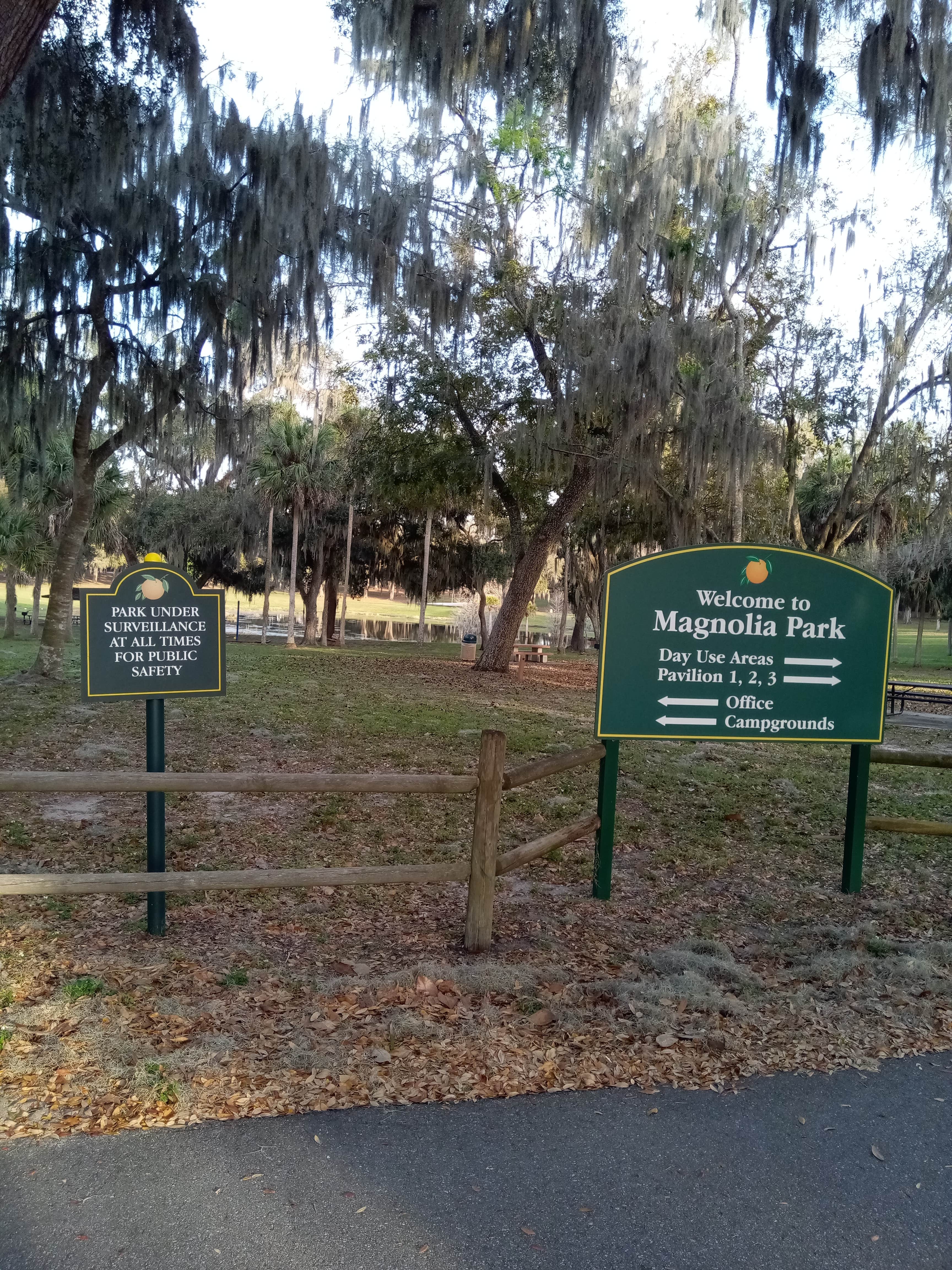 Camper submitted image from Magnolia Park Campground - 4
