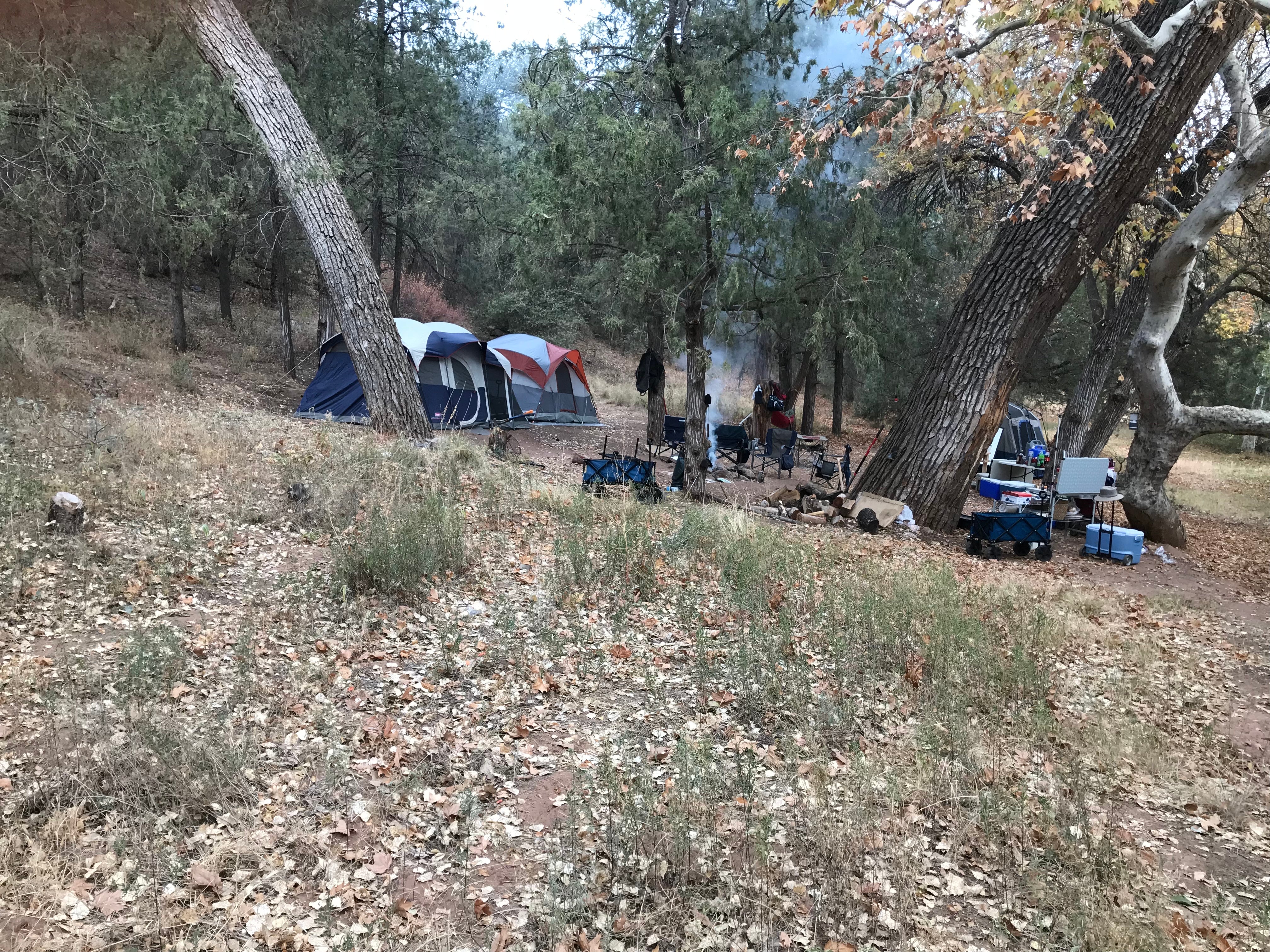Camper submitted image from Flowing Spring Campground - 2