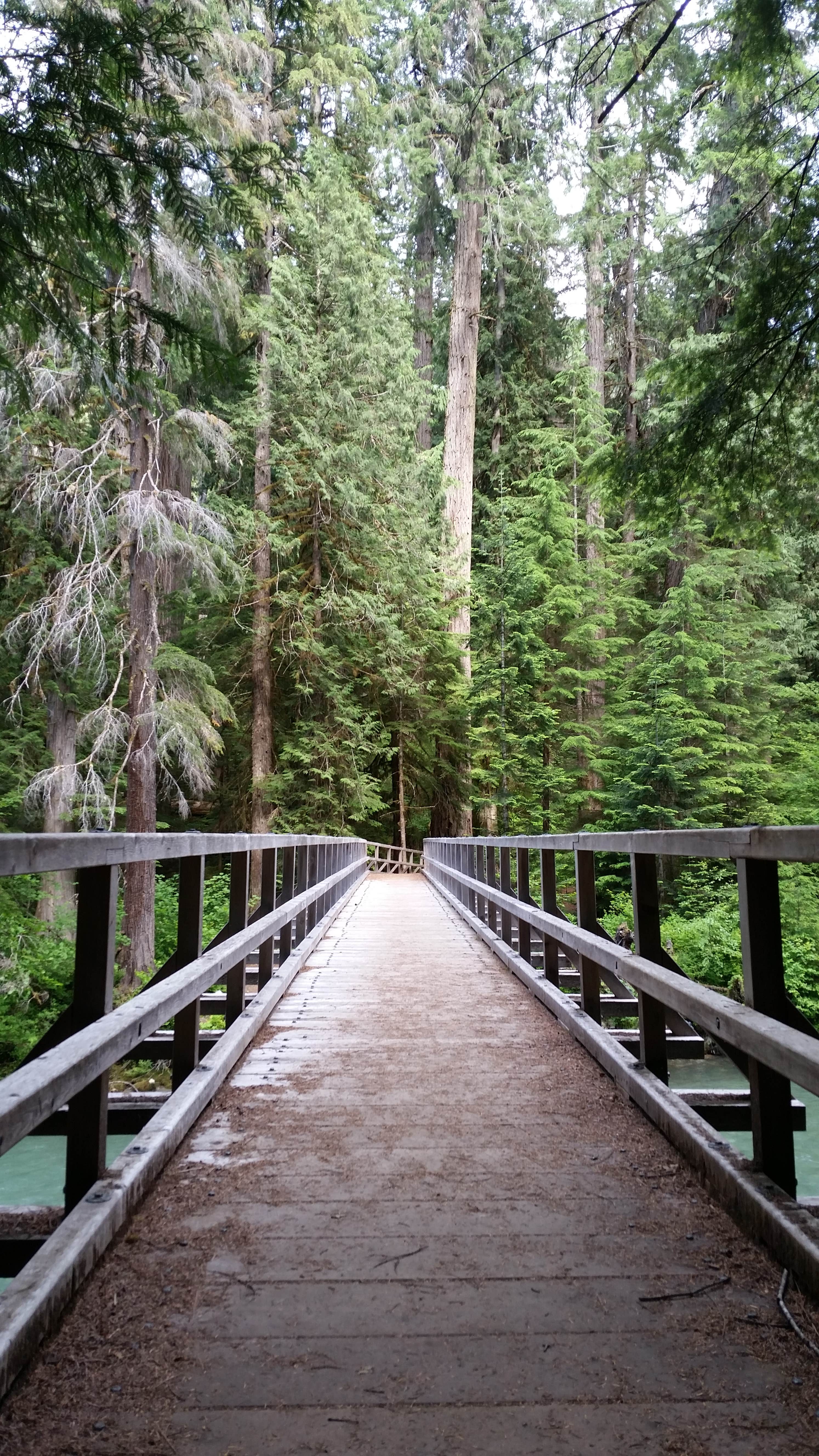 Camper submitted image from Colonial Creek South Campground — Ross Lake National Recreation Area - 4
