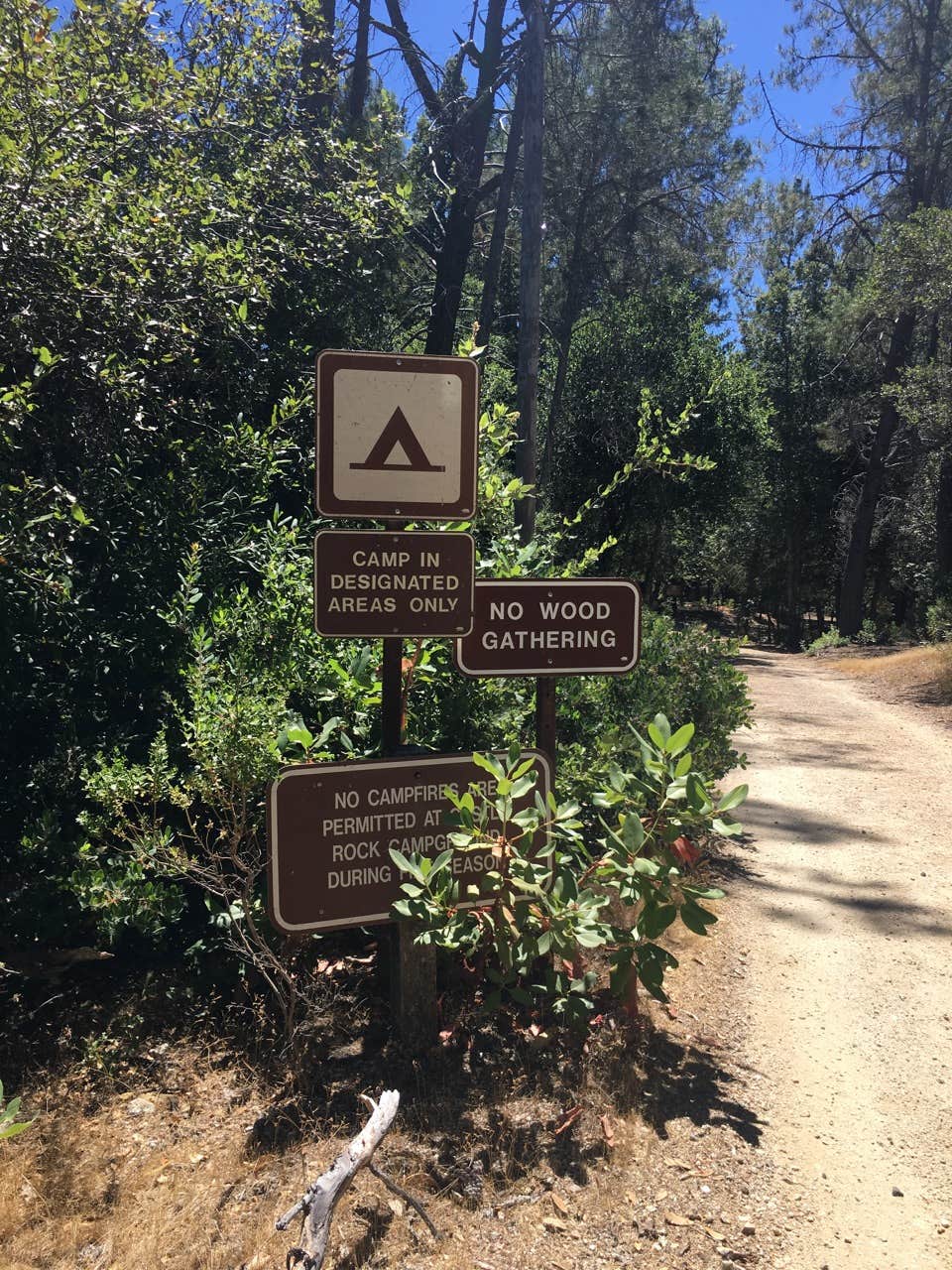 Waterman Gap Trail Camp The Dyrt
