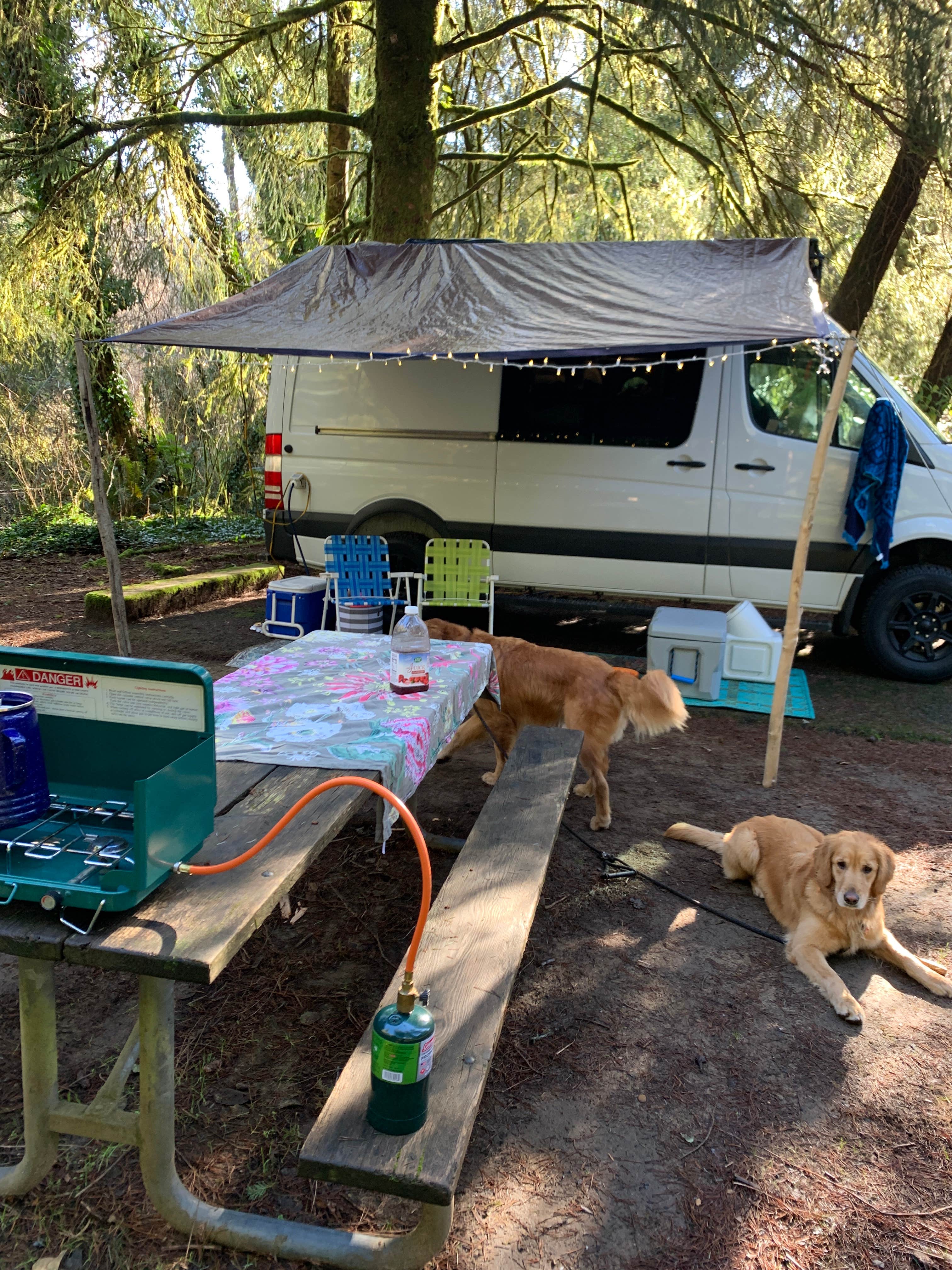 Terra J.'s photo of camping with pets at Beverly Beach State Park Campground near Newport, OR