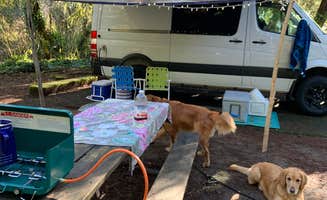 Terra J.'s photo of camping with pets at Beverly Beach State Park Campground near Toledo, OR