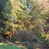 Review photo of Beverly Beach State Park Campground by Terra J., February 13, 2020
