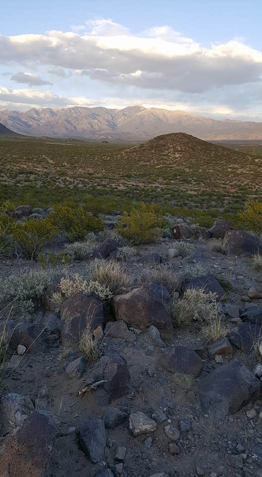 Camper-submitted photo at Three Rivers Petroglyph Site near Bent, NM
