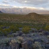 Review photo of Three Rivers Petroglyph Site by Hayley K., March 24, 2019