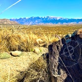 Review photo of Three Rivers Petroglyph Site by Hayley K., March 24, 2019