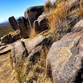 Review photo of Three Rivers Petroglyph Site by Hayley K., March 24, 2019