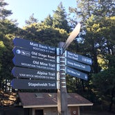 Review photo of Pantoll Campground — Mount Tamalpais State Park by Asher K., September 1, 2017