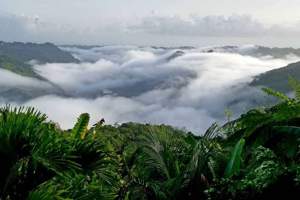 Camper-submitted photo at Lakeview Rainforest Camping in Puerto Rico