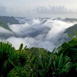 Lakeview Rainforest Camping