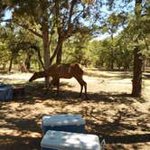Review photo of Mather Campground — Grand Canyon National Park by Hayley K., February 14, 2020