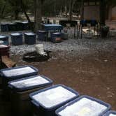 Review photo of Mather Campground — Grand Canyon National Park by Hayley K., February 14, 2020