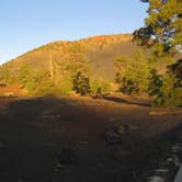 Review photo of Bonito Campground — Sunset Crater National Monument by Hayley K., February 14, 2020