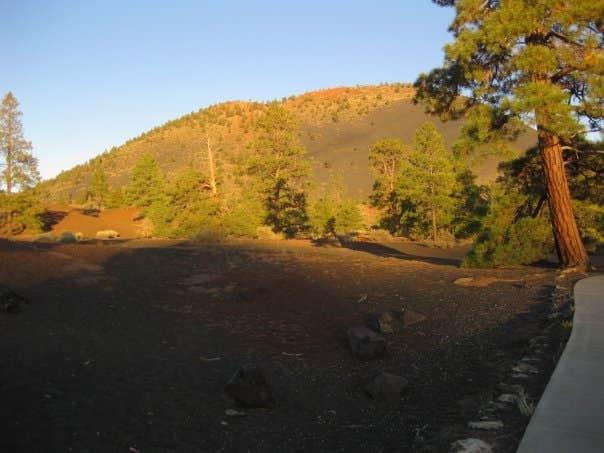 Camper submitted image from Bonito Campground — Sunset Crater National Monument - 2