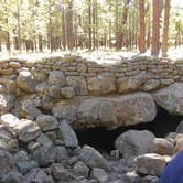 Review photo of Bonito Campground — Sunset Crater National Monument by Hayley K., February 14, 2020