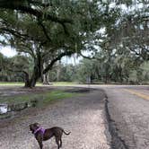 Review photo of Fontainebleau State Park Campground by Ray & Terri F., February 15, 2020