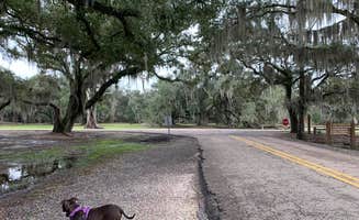 Ray & Terri F.'s photo of camping with pets at Fontainebleau State Park Campground near New Orleans, LA