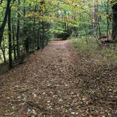 Review photo of Hickory Run State Park Campground by Kerri M., February 15, 2020