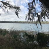 Review photo of Paynes Prairie Preserve State Park Campground by Angela M., February 15, 2020