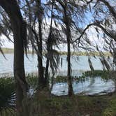 Review photo of Paynes Prairie Preserve State Park Campground by Angela M., February 15, 2020