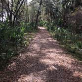 Review photo of Paynes Prairie Preserve State Park Campground by Angela M., February 15, 2020