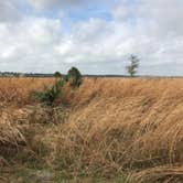 Review photo of Paynes Prairie Preserve State Park Campground by Angela M., February 15, 2020