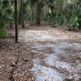 Review photo of Paynes Prairie Preserve State Park Campground by Angela M., February 15, 2020