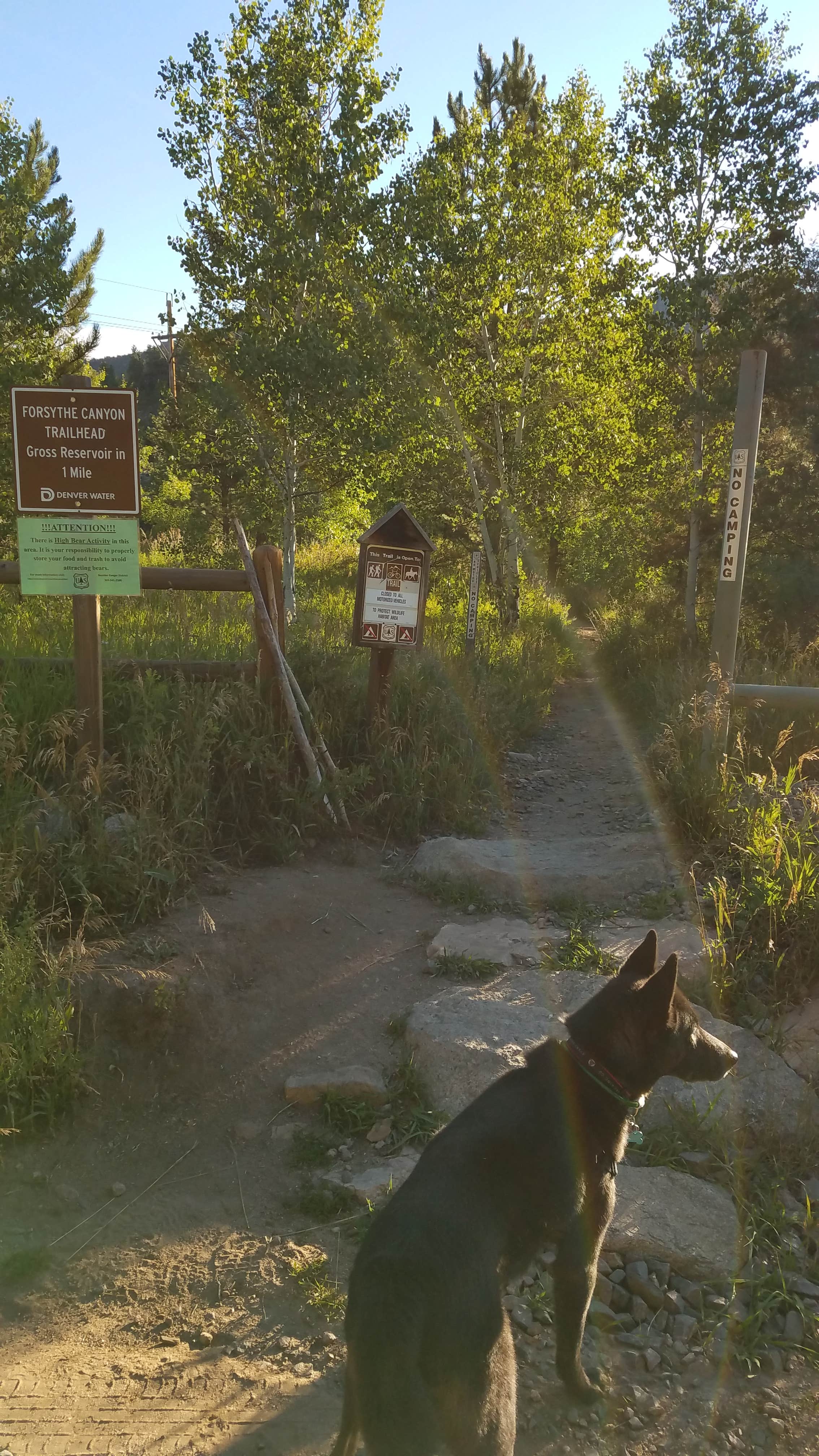 Daniel  B.'s photo of camping with pets at Winiger Ridge at Gross Reservoir near Twin Lakes, CO
