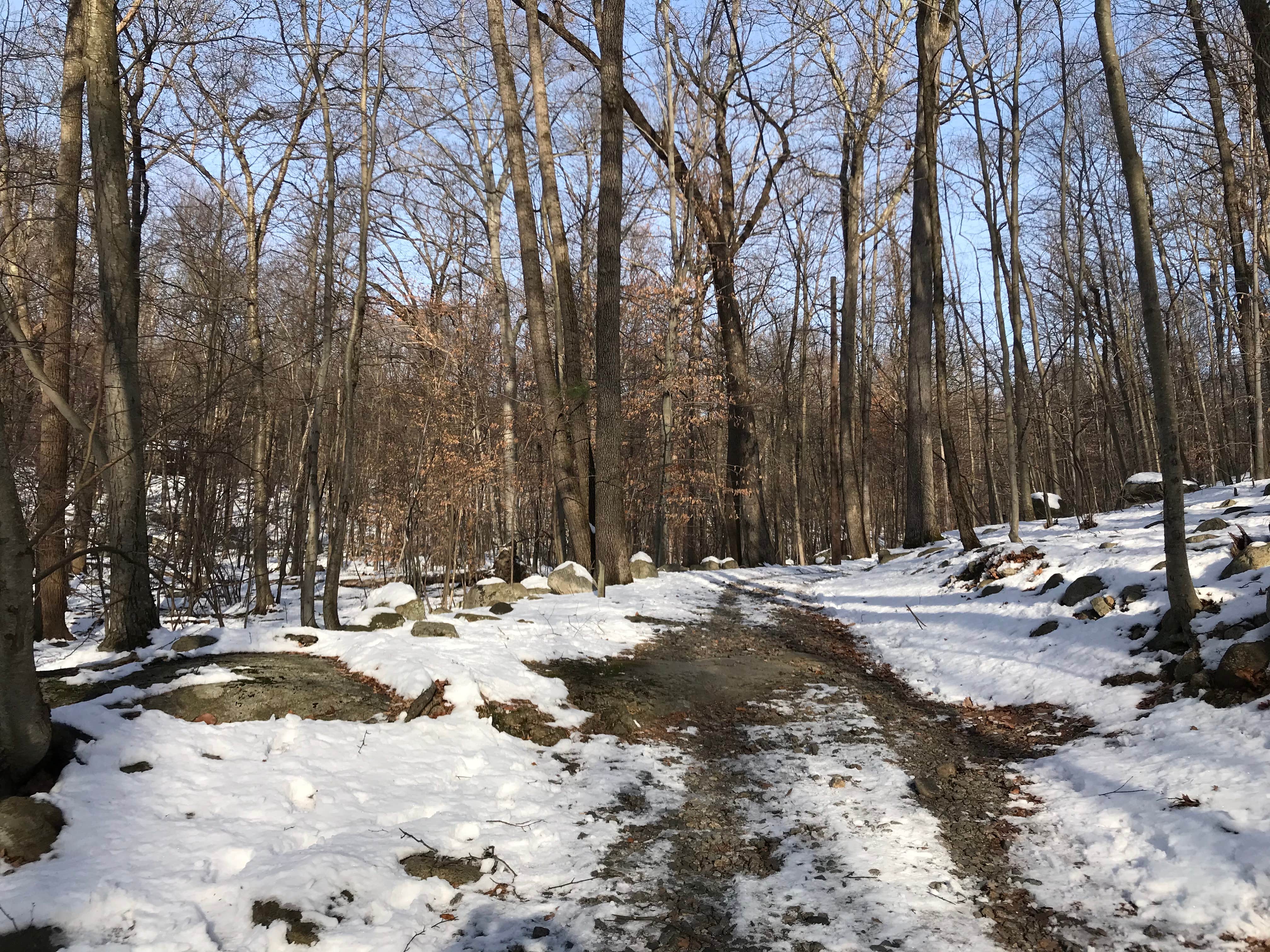 Camper-submitted photo at Camp Glen Gray near Irvington, NY