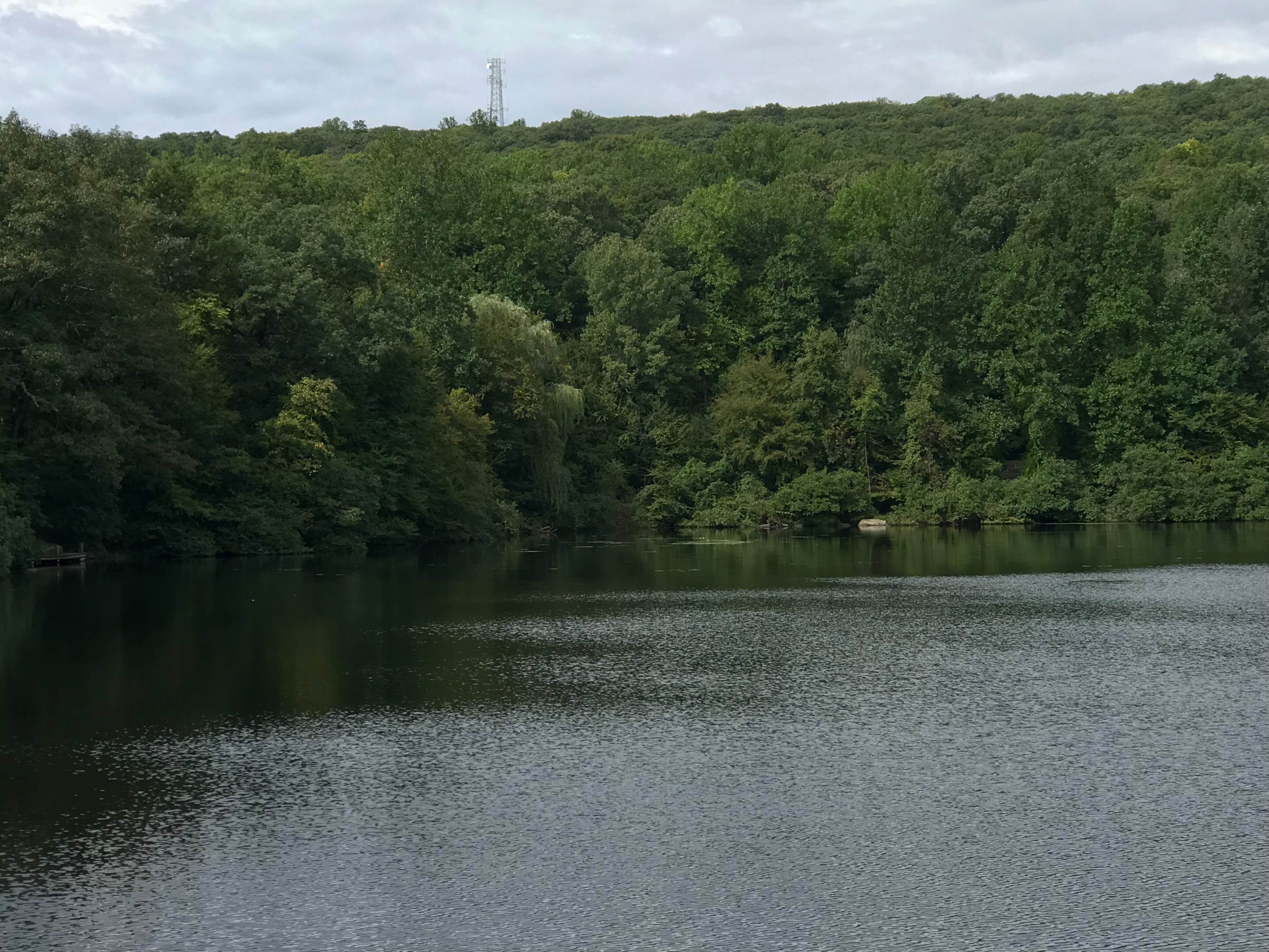 Camper-submitted photo at Camp Glen Gray near Irvington, NY