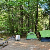 Review photo of Meredith Woods Four Season Camping by Nicole L., February 16, 2020