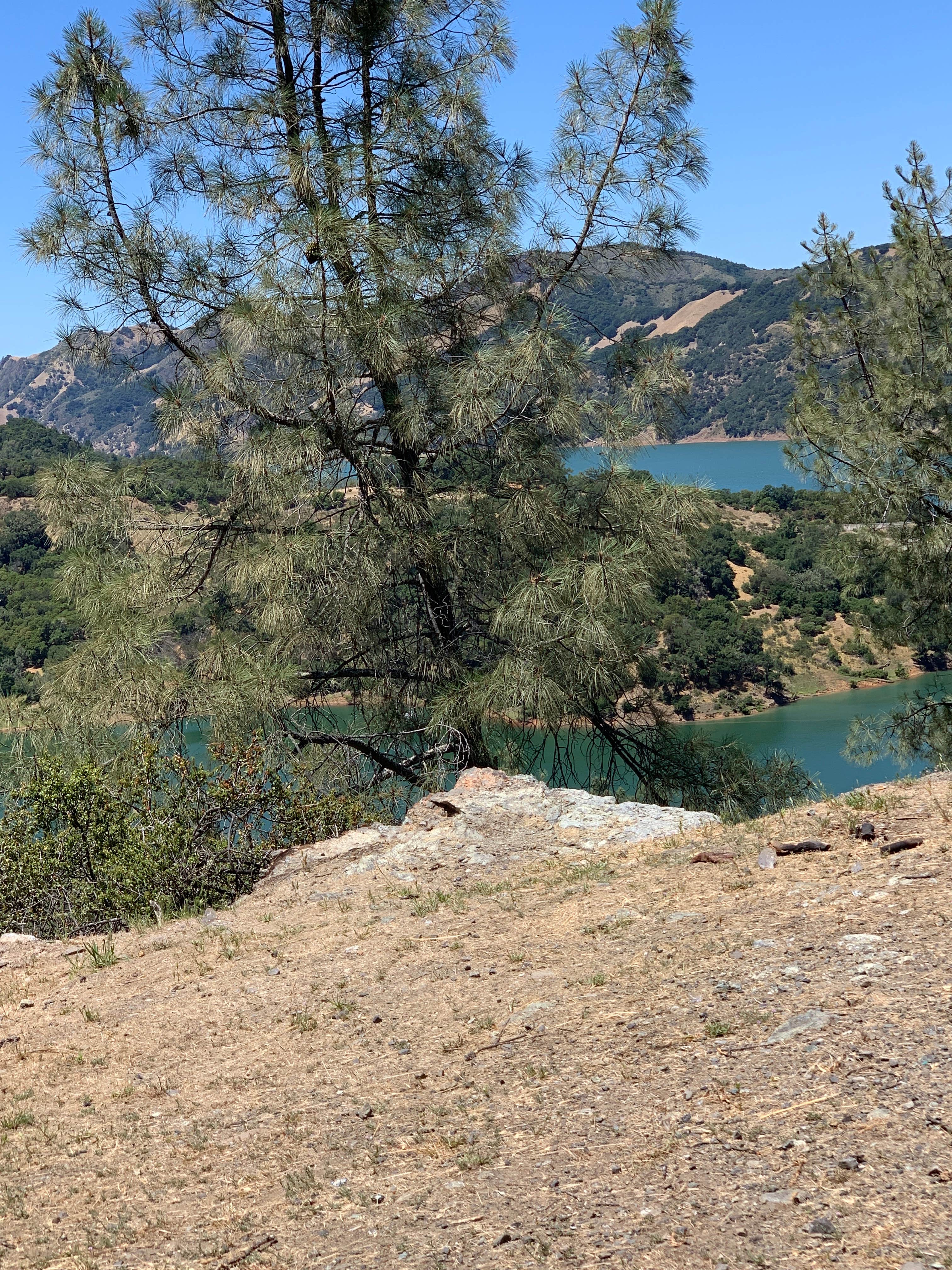 Camper-submitted photo at Lake Sonoma Marina Campground near Geyserville, CA