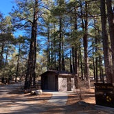 Review photo of Arcadia Campground by Beth G., February 16, 2020