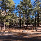 Review photo of Arcadia Campground by Beth G., February 16, 2020