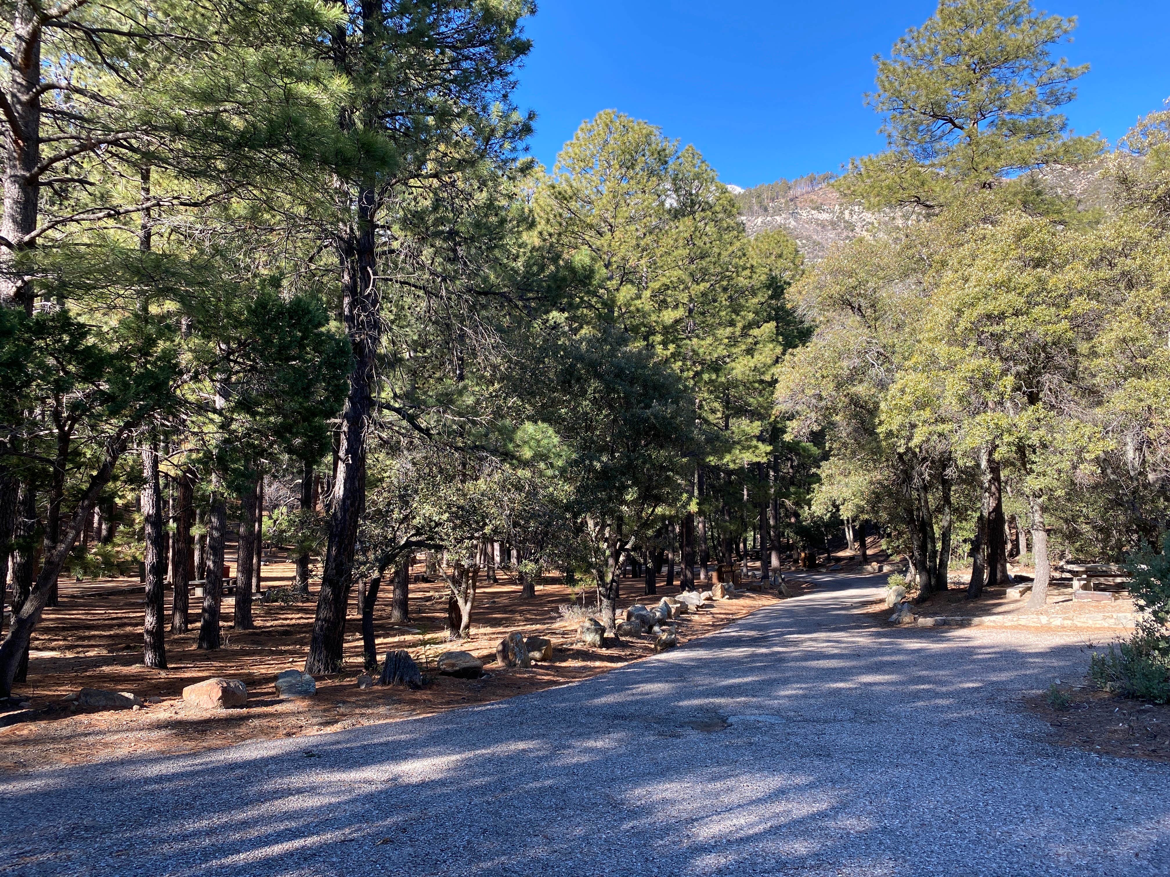 Camper-submitted photo at Arcadia Campground near Safford, AZ