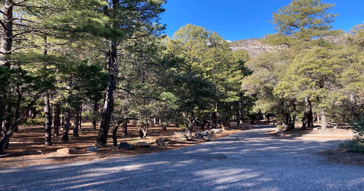 Arcadia Campground Camping The Dyrt