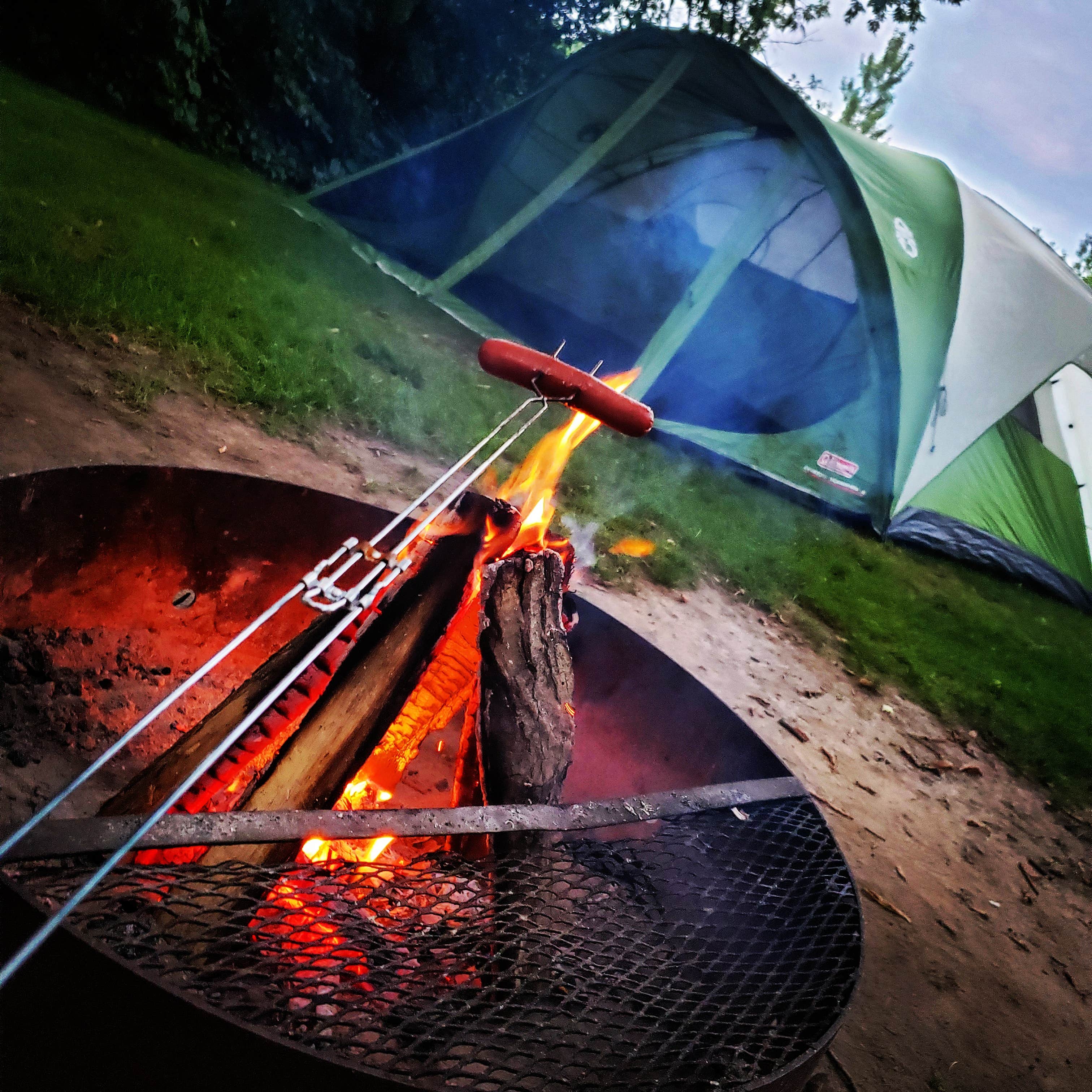 Good burning firewood