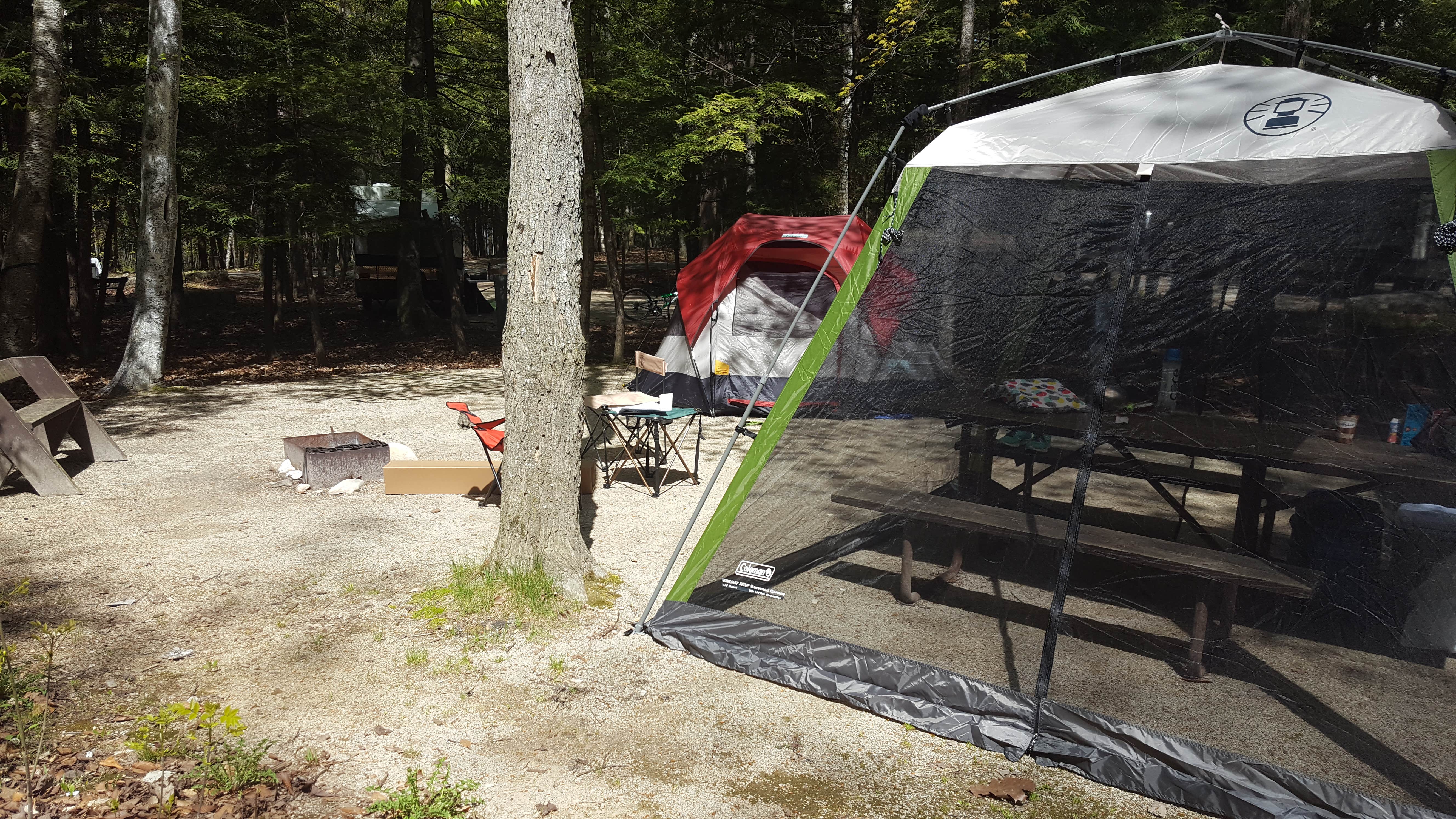 Rebecca B.'s photo at Daisy Field Campground — Potawatomi State Park near Suamico, WI