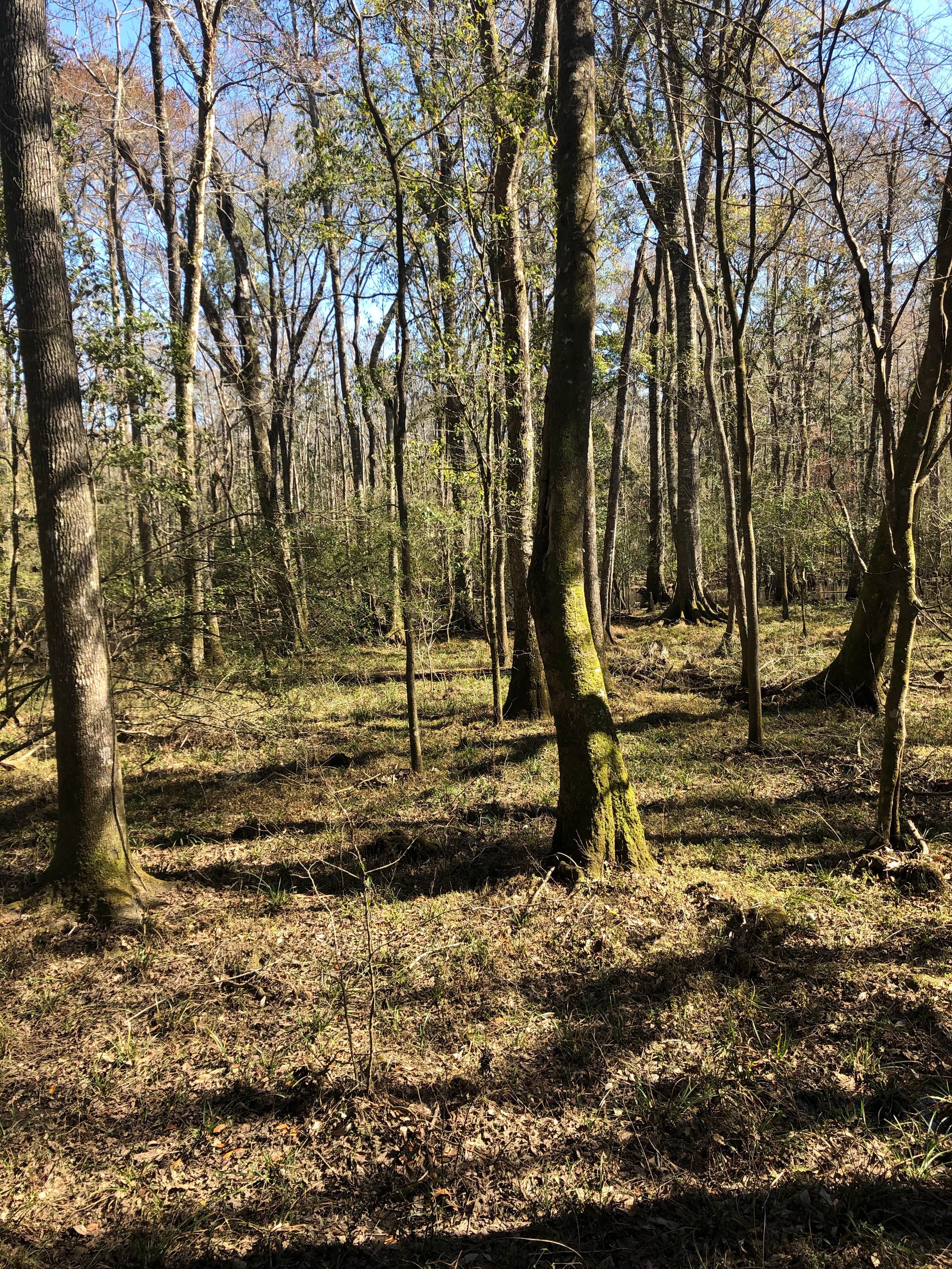 Nature