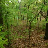 Review photo of Elephant Rock Campground — Lake Murray State Park by jasmine L., September 1, 2017