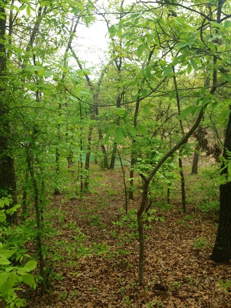 Camper submitted image from Elephant Rock Campground — Lake Murray State Park - 2