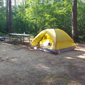 Review photo of Musky Lake Campground — Northern Highland State Forest by Rebecca B., February 16, 2020