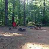 Review photo of Musky Lake Campground — Northern Highland State Forest by Rebecca B., February 17, 2020