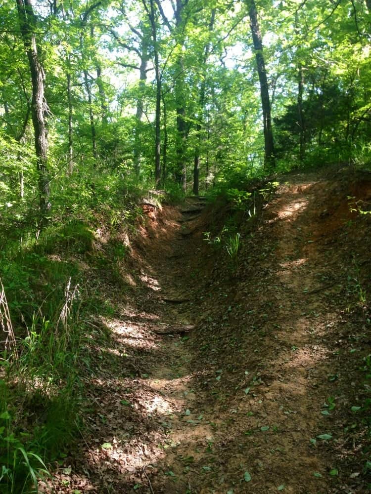 Camper submitted image from Elephant Rock Campground — Lake Murray State Park - 2