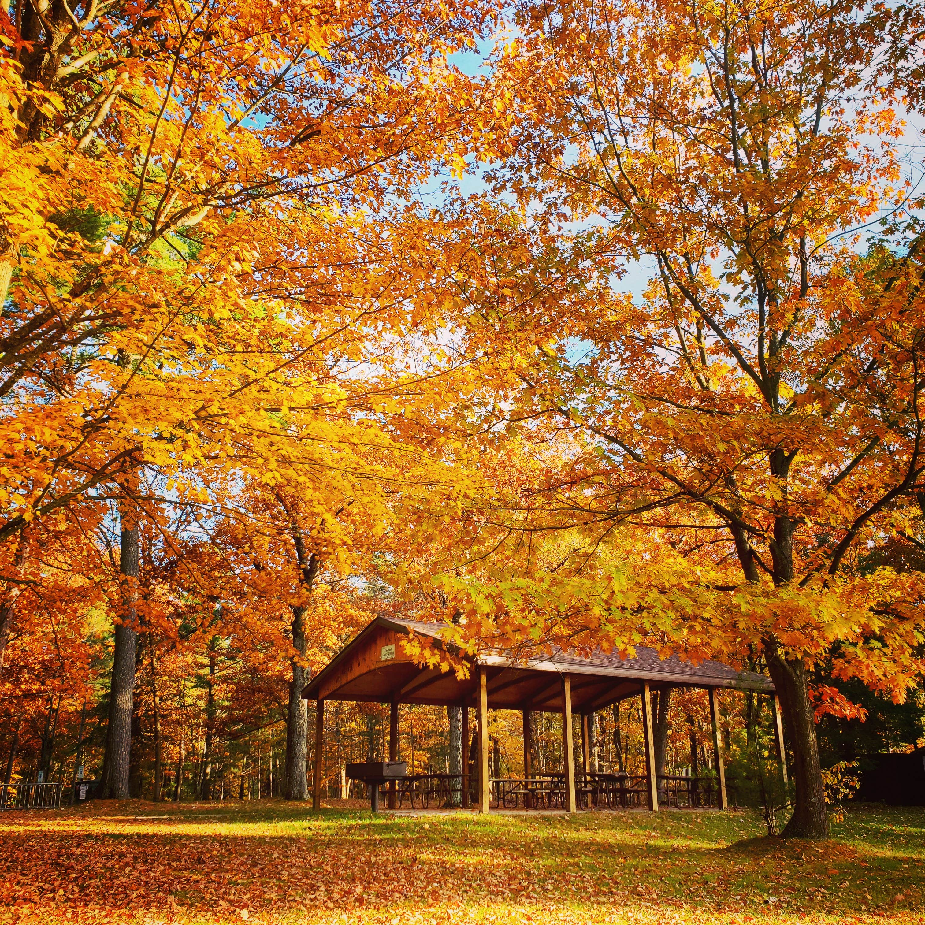Camper-submitted photo at Council Grounds State Park Campground near Westboro, WI