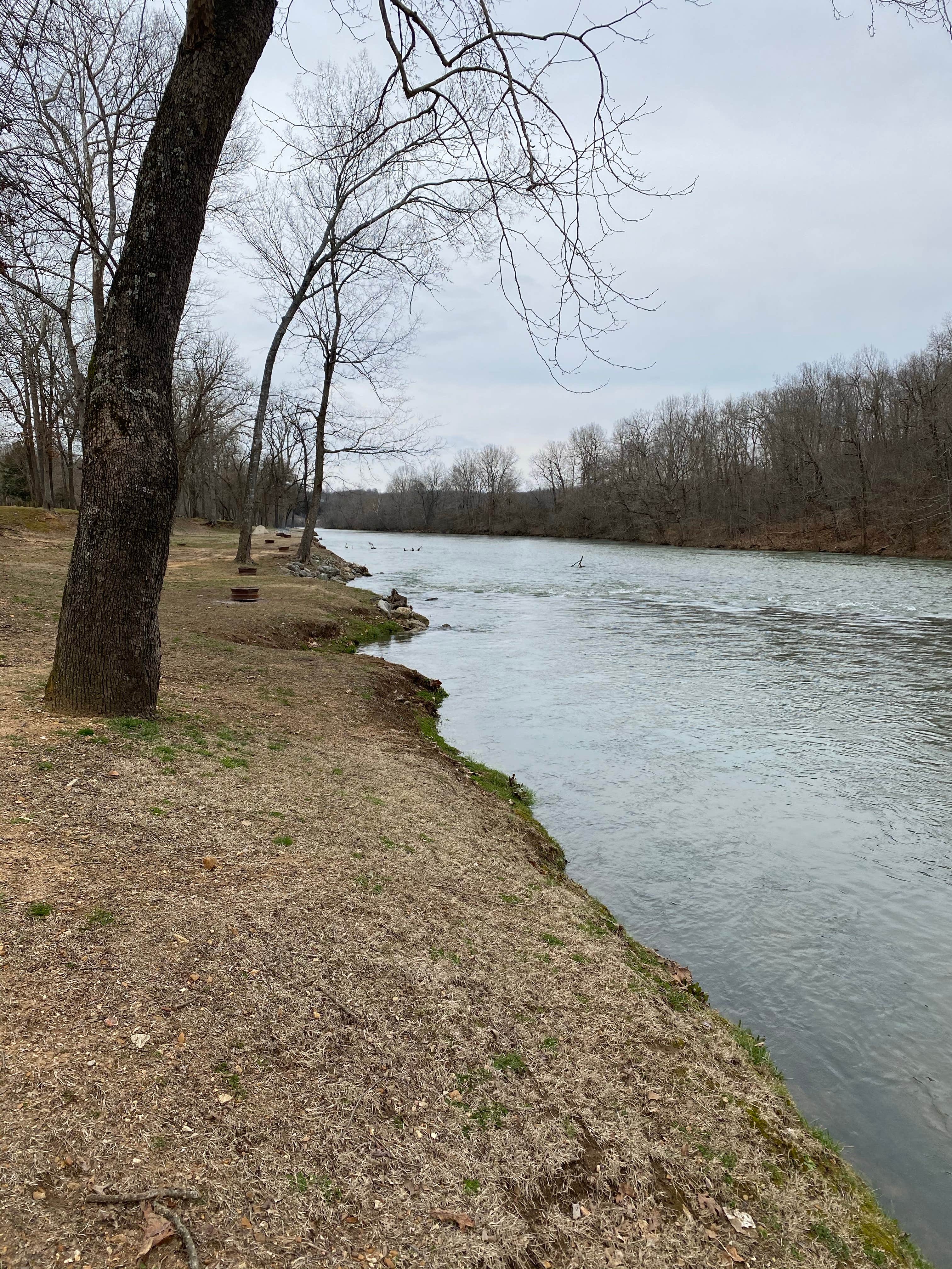 Camper submitted image from Riverside Campground and Canoe - 5
