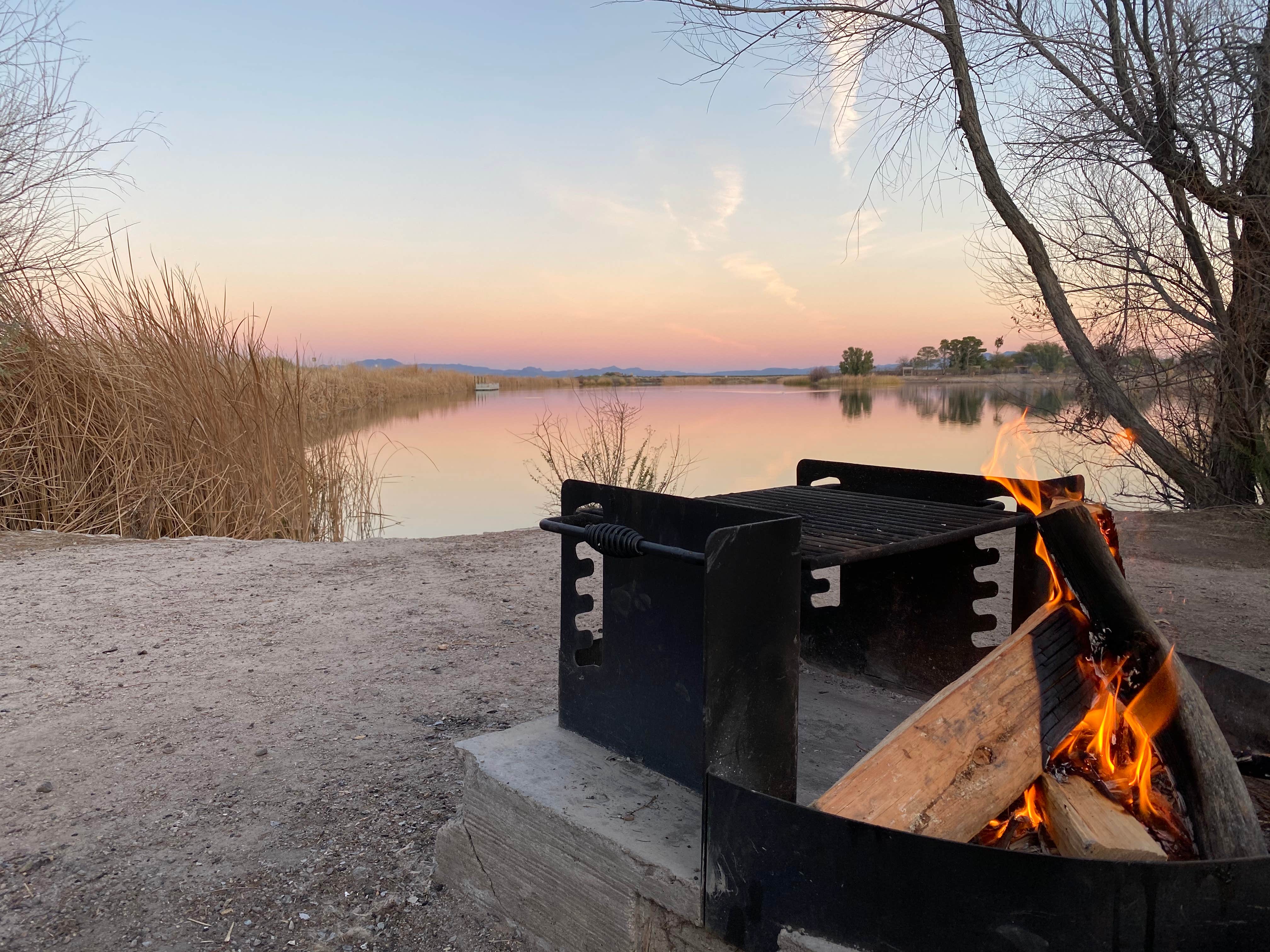 Camper submitted image from Gila Campground — Roper Lake State Park - 3